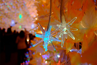 Illustration for article titled Tokyo Xmas Light Shows Overload Senses, Power Grid